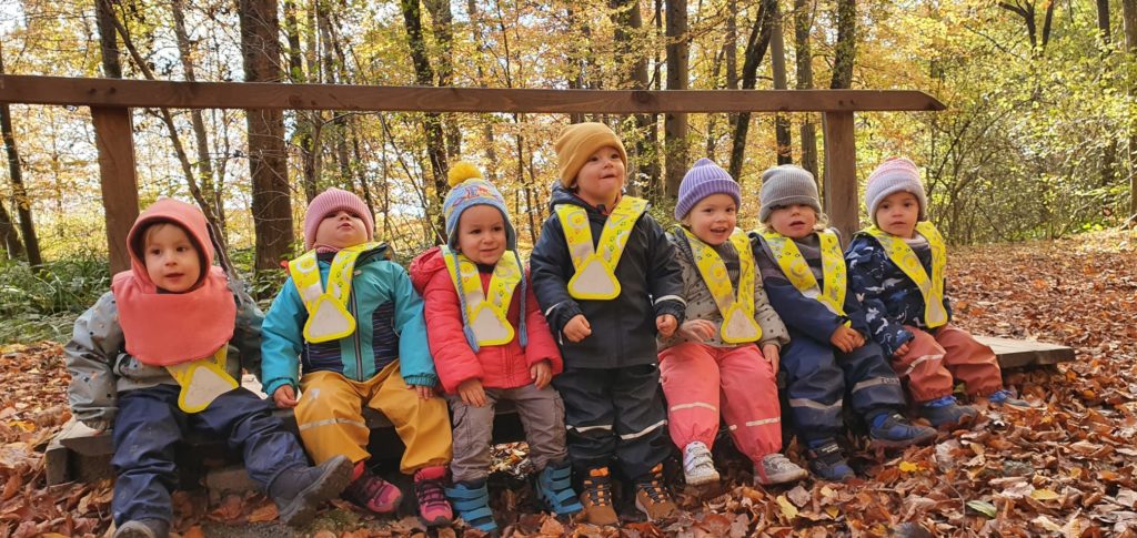 une journée en forêt