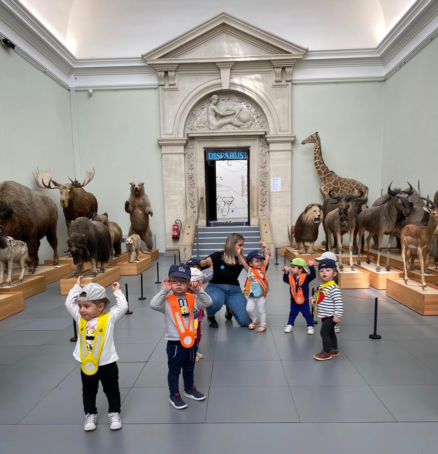 Du Musée De Zoologie À L Escalade