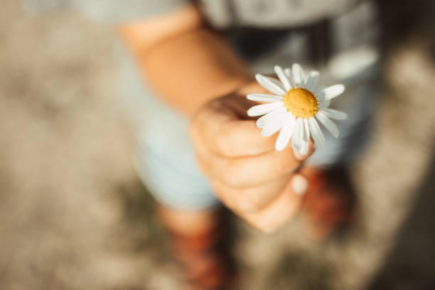 A Child Proudly Gives Away His Self Picked Flower.