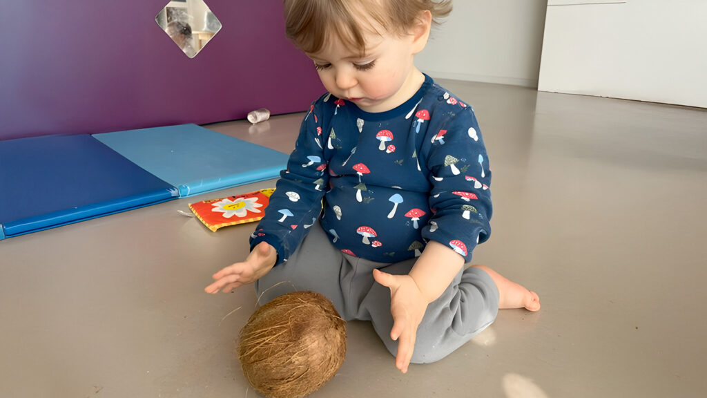 Un jeune enfant touche une noix de coco entière, curieux de sa texture.