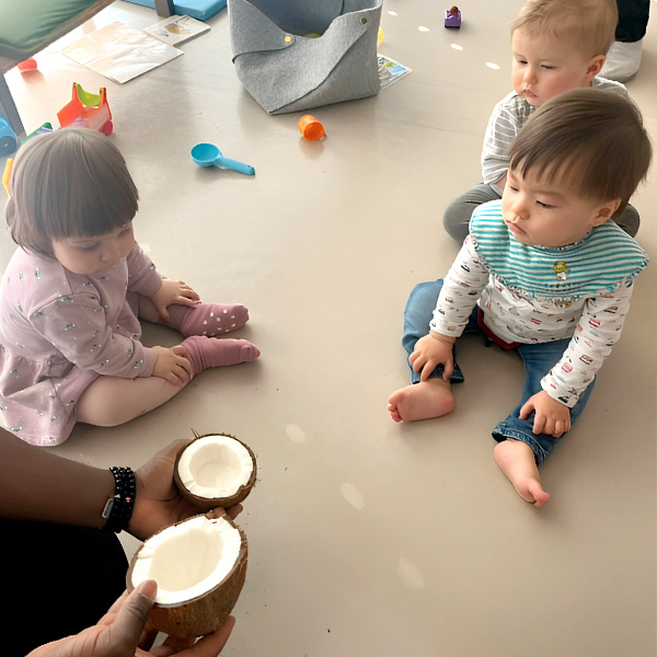 Des jeunes enfants découvrent une noix de coco ouverte, observant attentivement sa texture et son intérieur.