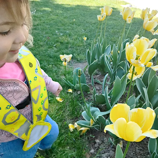 Le Microcosme Tulipe Morges 01