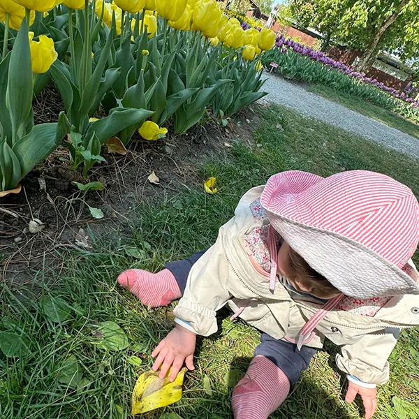 Le Microcosme Tulipe Morges 04