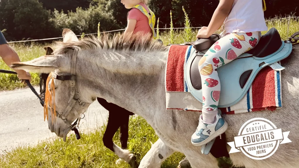 À la crèche Le Microcosme à Lausanne, les enfants découvrent les ânes lors d’une sortie nature inoubliable à Cheseaux. Joie et apprentissage garantis !