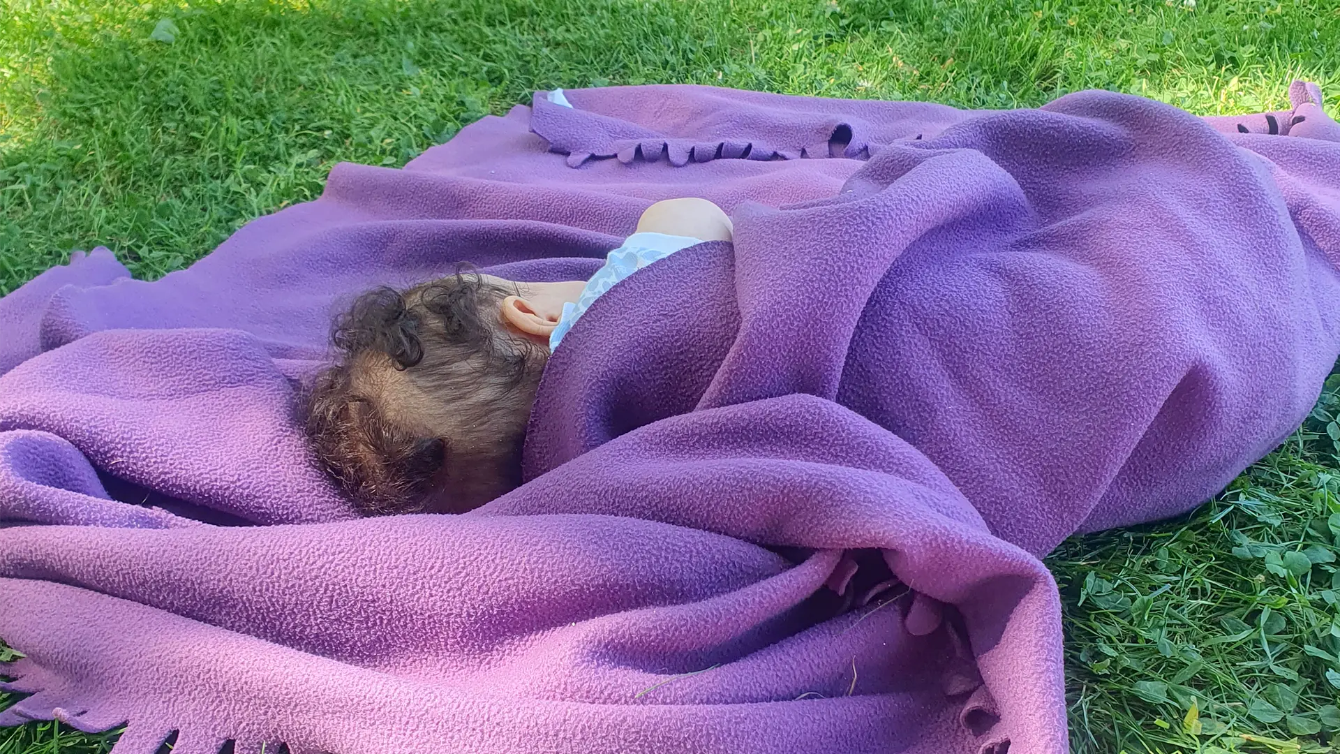 Le Microcosme Sieste Parc 00