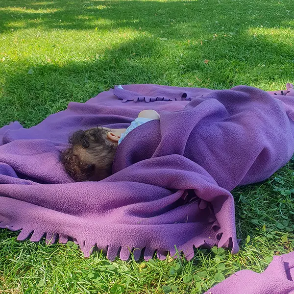 Le Microcosme Sieste Parc 03