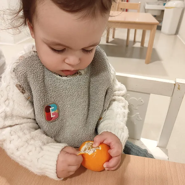 Microcosme Trotteurs Mandarines 01