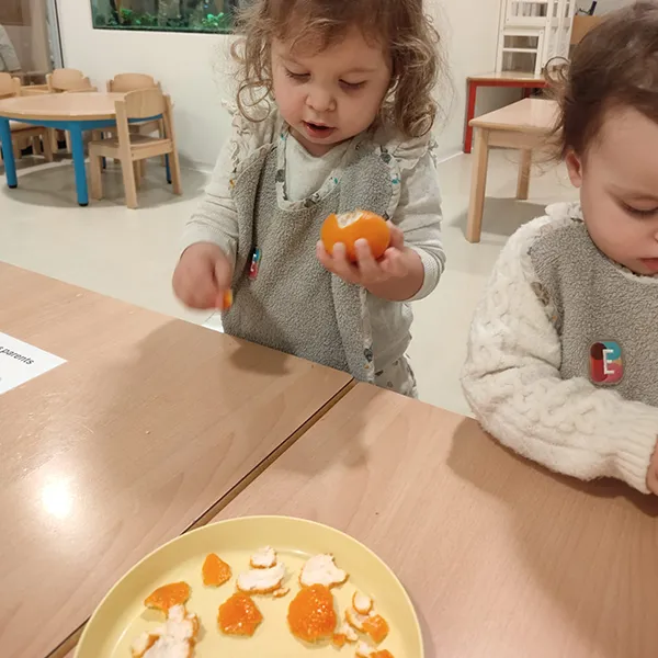 Microcosme Trotteurs Mandarines 02