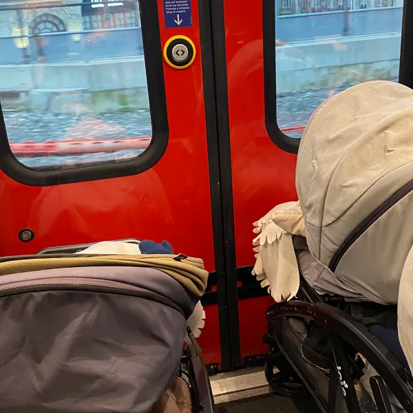 Le Microcosme Nurserie Marche Noel Vevey 01