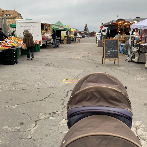 Le Microcosme Nurserie Marche Noel Vevey 02