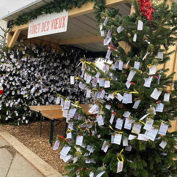 Le Microcosme Nurserie Marche Noel Vevey 03