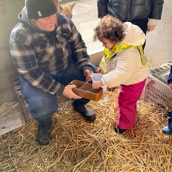 Microcosme Ferme Poney Lausanne 01