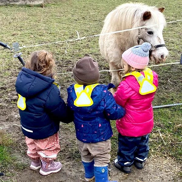 Microcosme Ferme Poney Lausanne 02