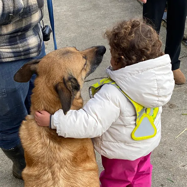 Microcosme Ferme Poney Lausanne 03