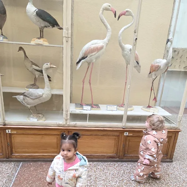 Microcosme Palas Rumine Observation Animaux 02