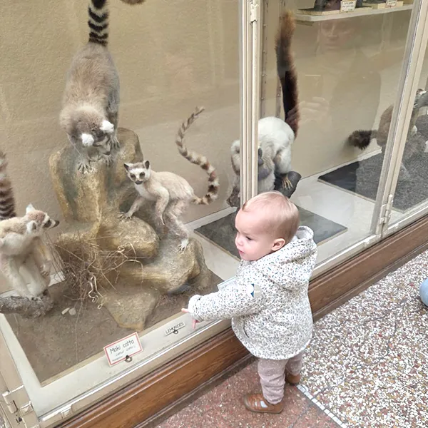 Microcosme Palas Rumine Observation Animaux 03