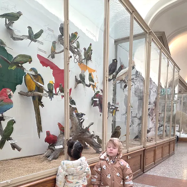 Microcosme Palas Rumine Observation Animaux 05