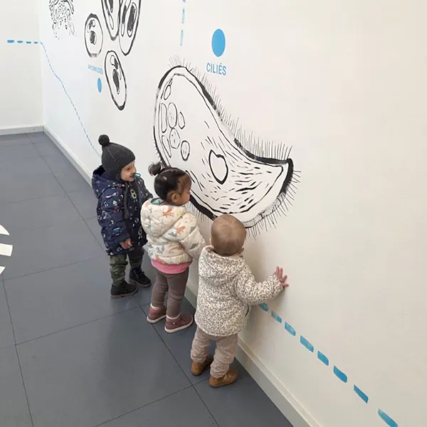 Microcosme Palas Rumine Observation Animaux 06