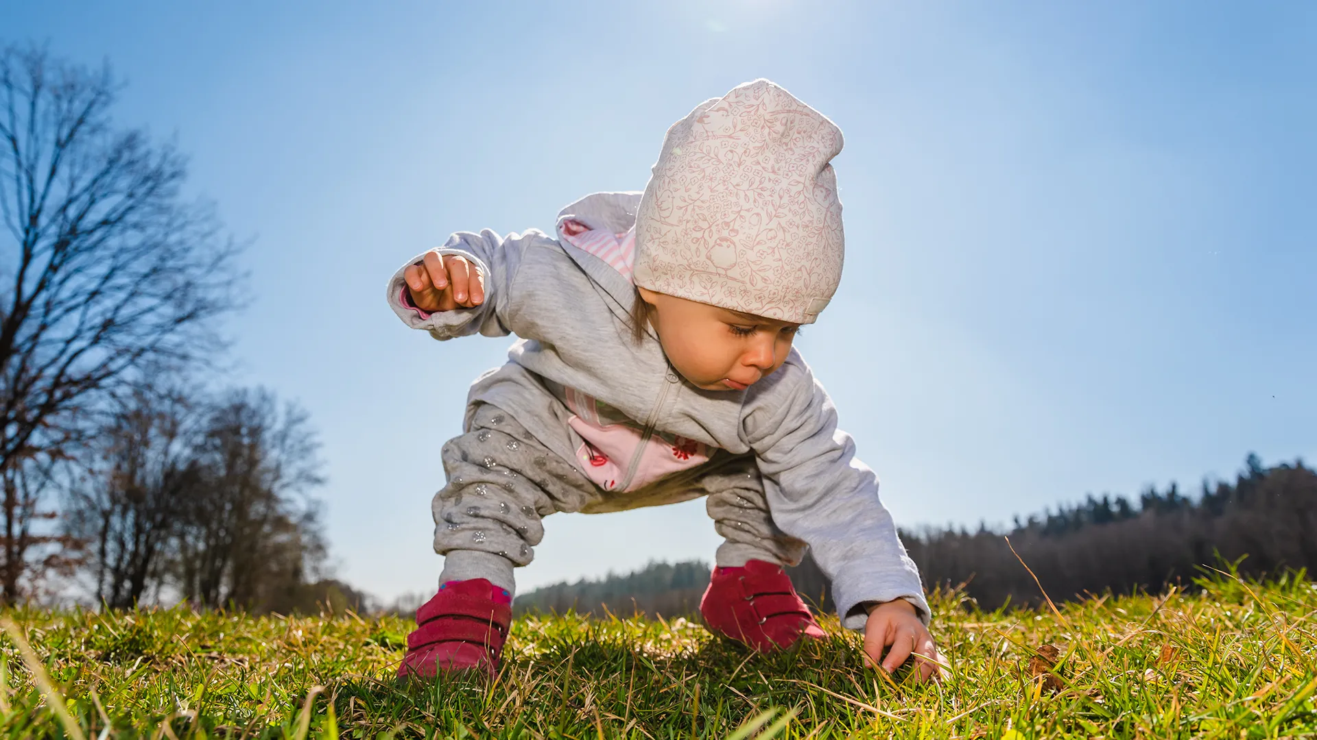 Microcosme Formation La Pedagogie Nature