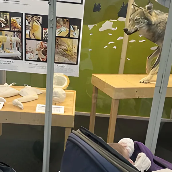 Sortie Palais Rumine Nurserie Microcosme Lausanne 02