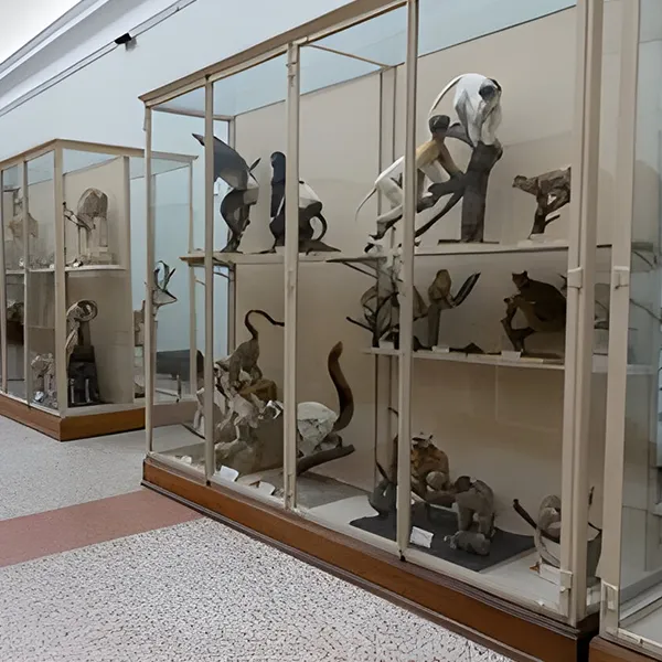 Sortie Palais Rumine Nurserie Microcosme Lausanne 03