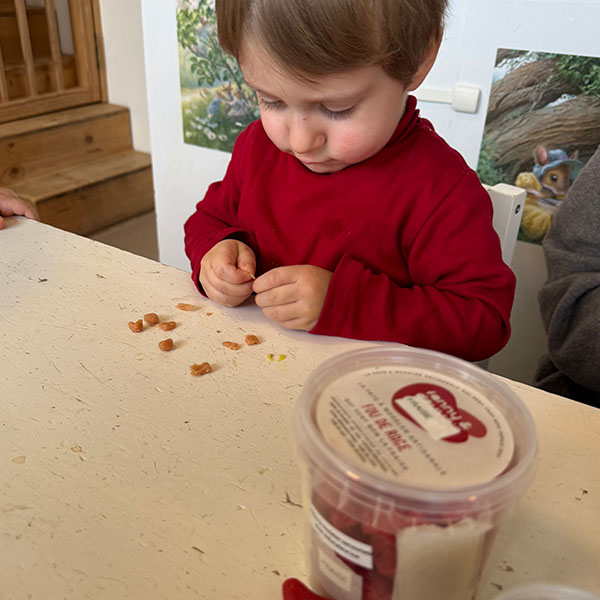 Microcosme Activite Pate A Modeler Sensorielle Lausanne Maladiere 05