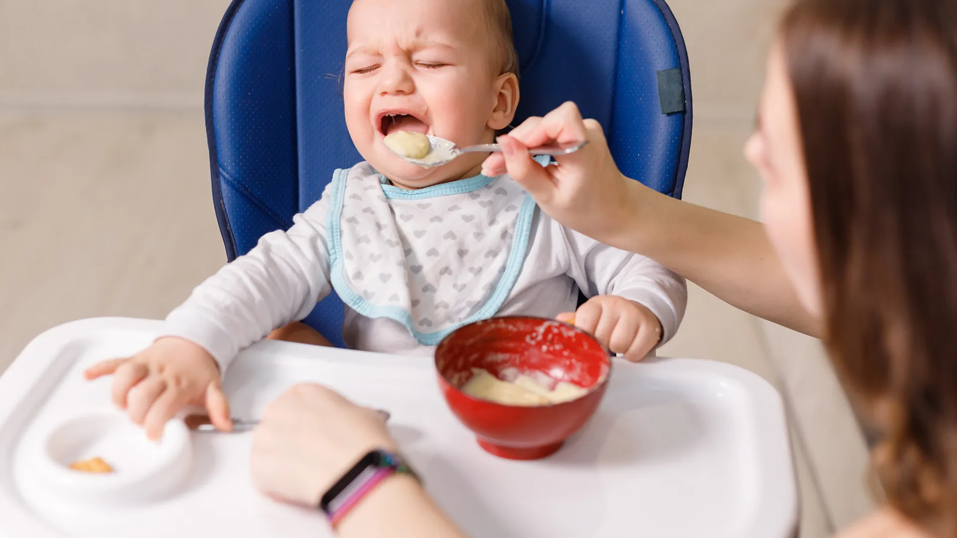 Microcosme Formation Difficultes Alimentaires