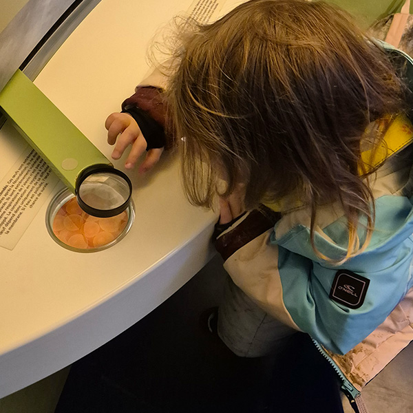 Microcosme Maison Riviere Biodiversite Lausanne 03