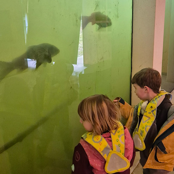 Microcosme Maison Riviere Biodiversite Lausanne 04