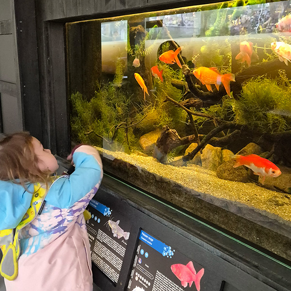 Microcosme Maison Riviere Biodiversite Lausanne 05