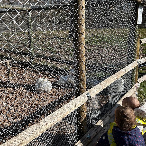 Sortie Nature Microcosme Enfants Lausanne Maladiere 01