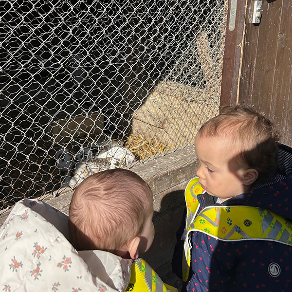 Sortie Nature Microcosme Enfants Lausanne Maladiere 02