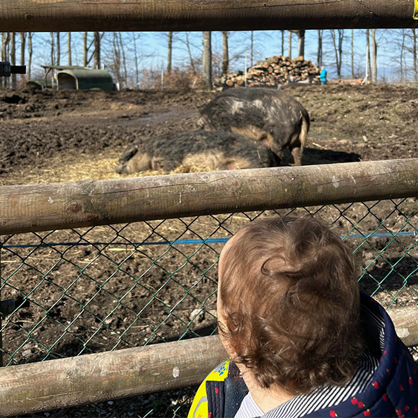 Sortie Nature Microcosme Enfants Lausanne Maladiere 03