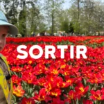 Creche 6sens Sortie Nature Enfants Morges Foret Saint Sulpice 00