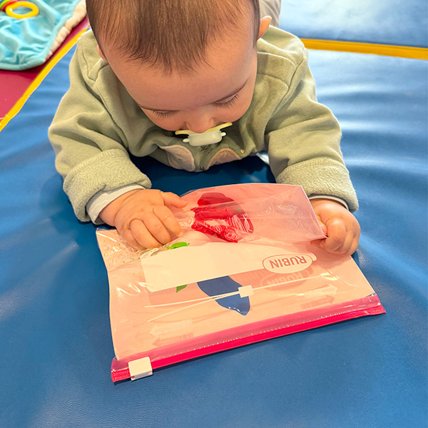 Le Microcosme Peinture Propre Lausanne Maladiere 01