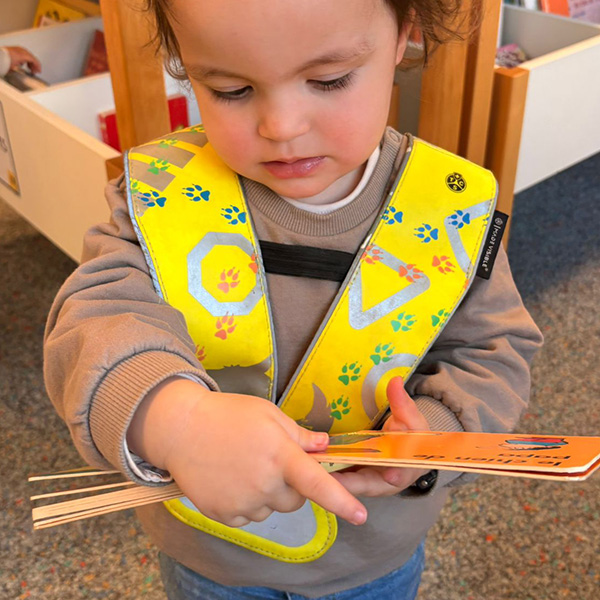 Micro Bibliotheque 01