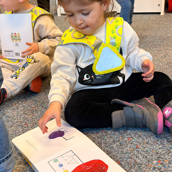 Micro Bibliotheque 03