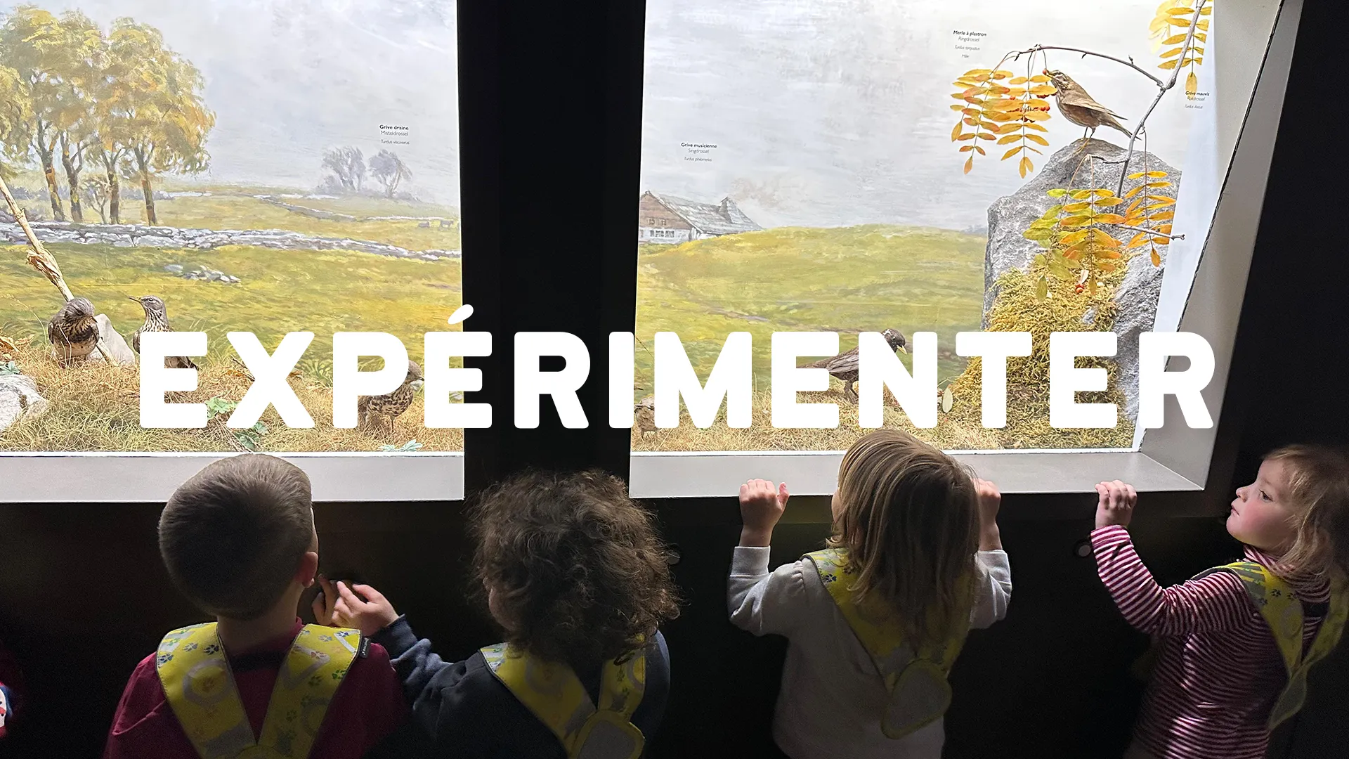 Microcosme Printemps Decouverte Enfants Lausanne Maladiere 00