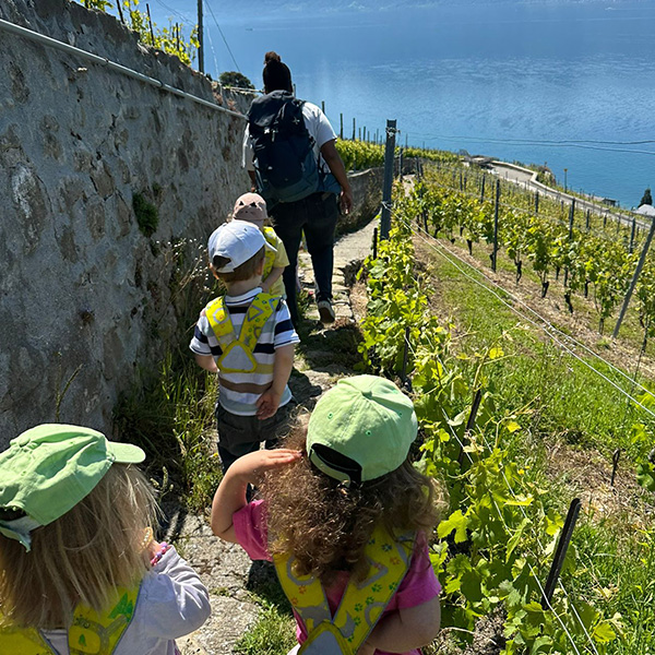 Microcosme Balade Vignes Lavaux Cully 03
