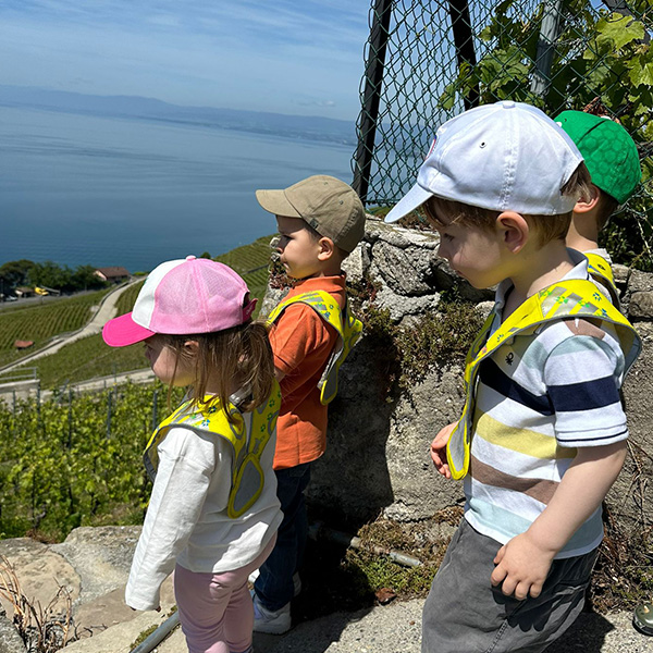 Microcosme Balade Vignes Lavaux Cully 05