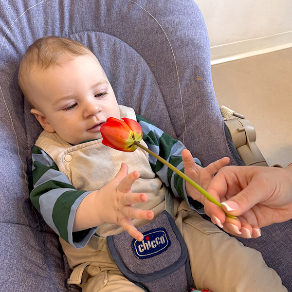 Microcosme Fleurs Chateau Enfants Lausanne 01