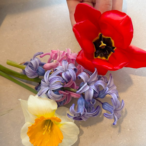 Microcosme Fleurs Chateau Enfants Lausanne 03