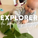 Le Microcosme Toucher Feuille Figuier Lausanne Maladiere 00