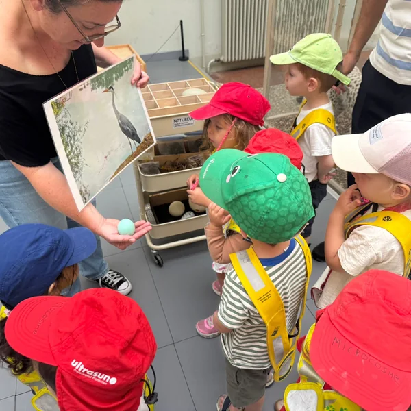 Educanews Microcosme Musee Zoologie 01