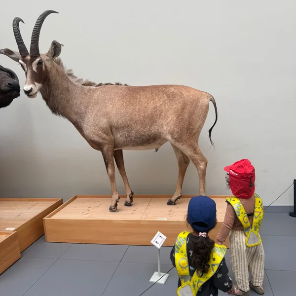 Educanews Microcosme Musee Zoologie 02