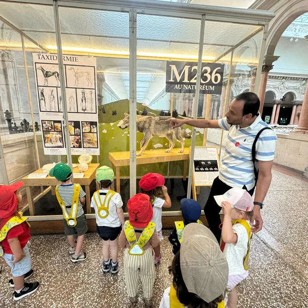 Educanews Microcosme Musee Zoologie 03
