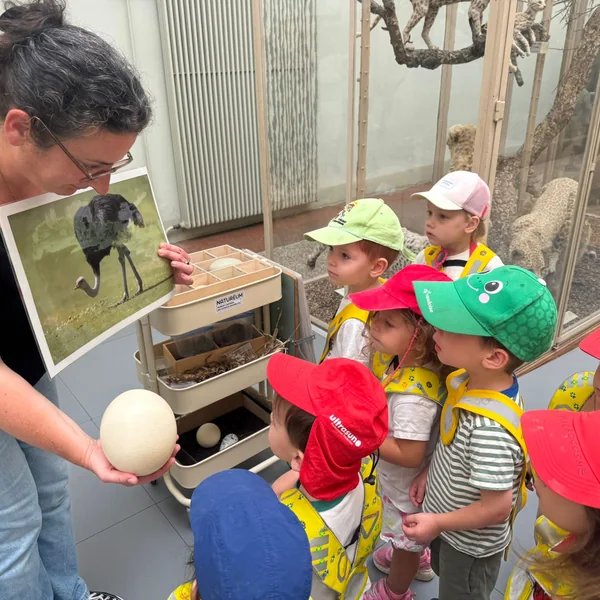 Educanews Microcosme Musee Zoologie 04