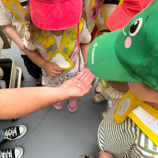 Educanews Microcosme Musee Zoologie 07