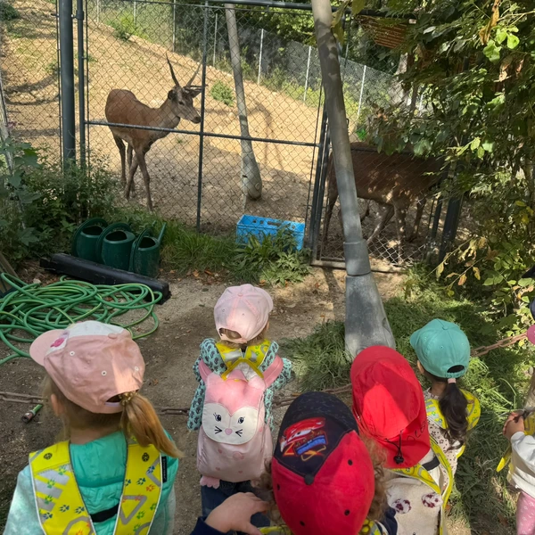 Le Microcosme Zoo Garenne Grands Lausanne La Maladiere 04