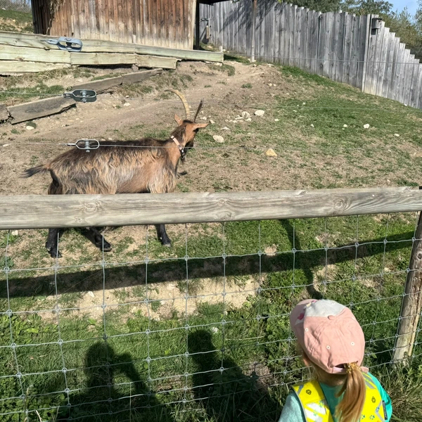 Le Microcosme Zoo Garenne Grands Lausanne La Maladiere 06
